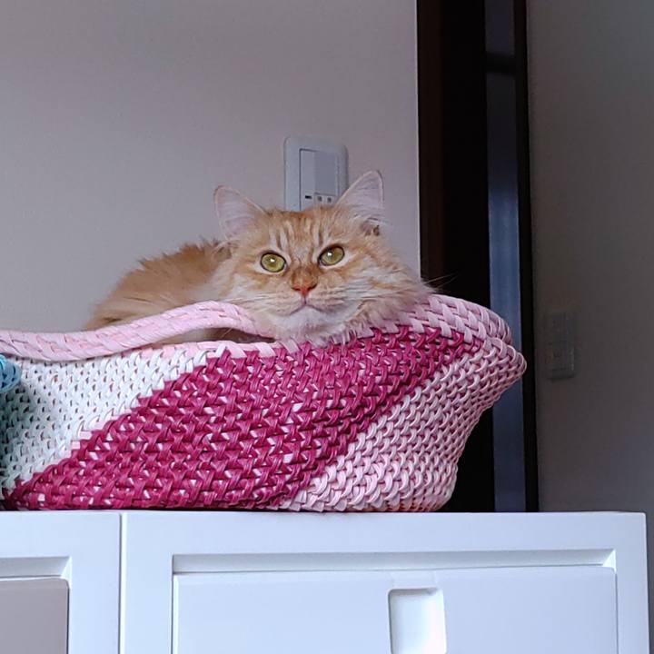 2de9771b 8806 47fa a511 e094526e73fd 1680922282834