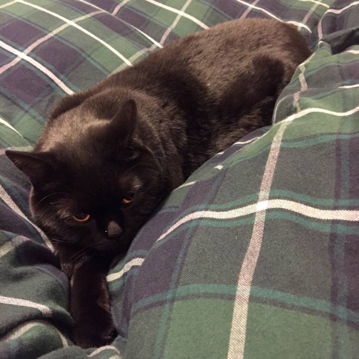 2de97e32 7031 40bb bcae 1ad08d3361b4 1551964891540