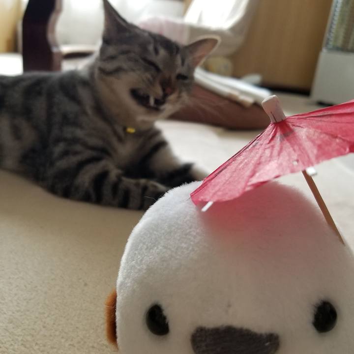 2de97f4a a3ed 4daf a51a ec5f43b8569f 1678710704282