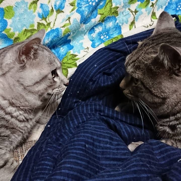 2de9a2ca 90f1 41f7 b399 7a407f472a47 1510998608067