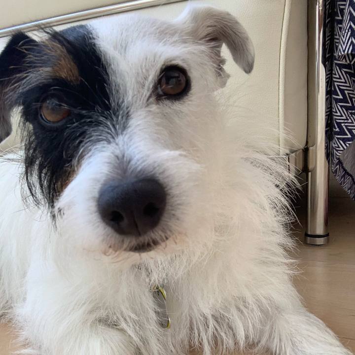 2de9d9a5 4c6b 49fa 9423 b453dd65a567 1565230641202