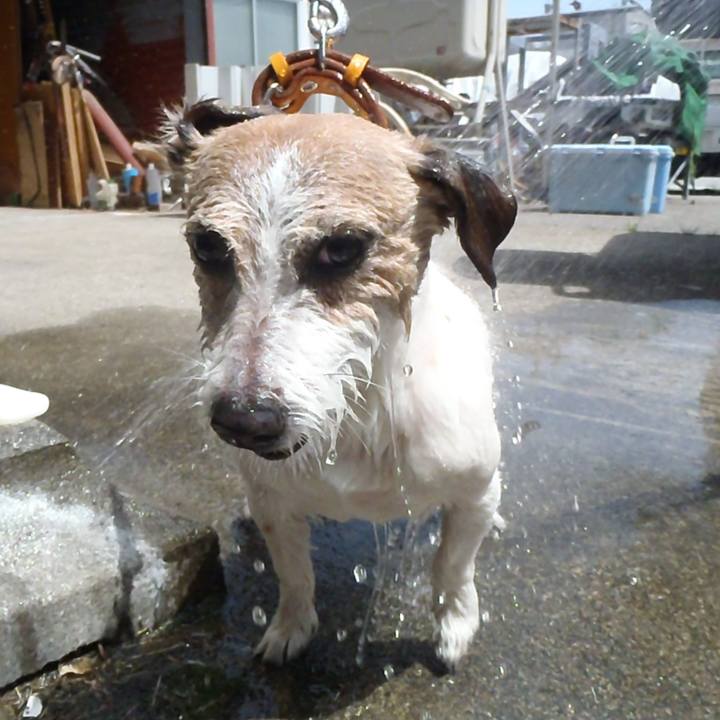 2de9e6ae e05c 4280 a830 8530abb4f4c1 1526453442246