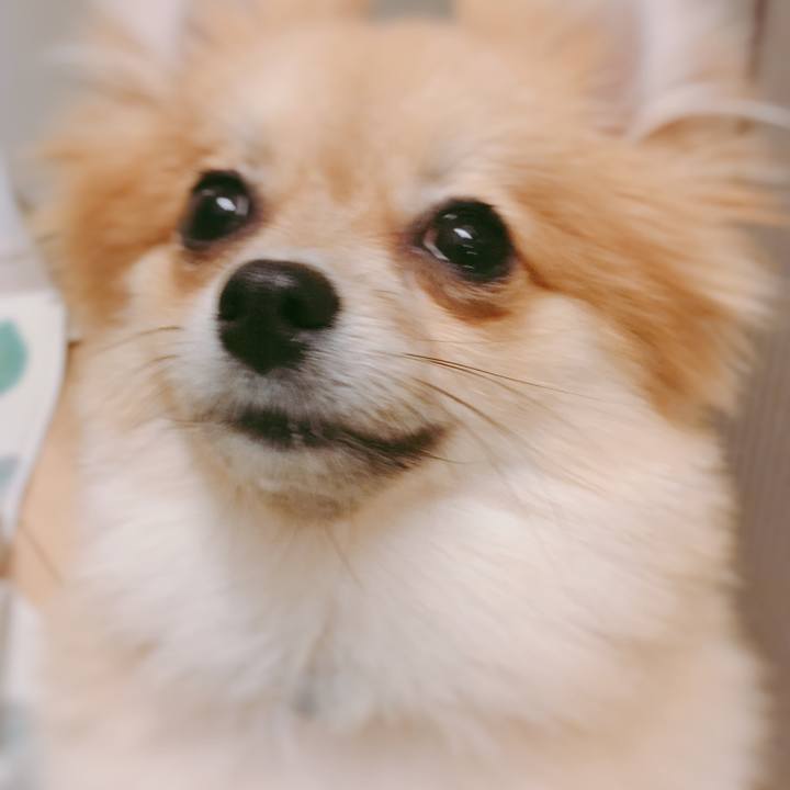 2de9e7a3 1f0e 410d bee1 ed77ac7699a5 1522501647337