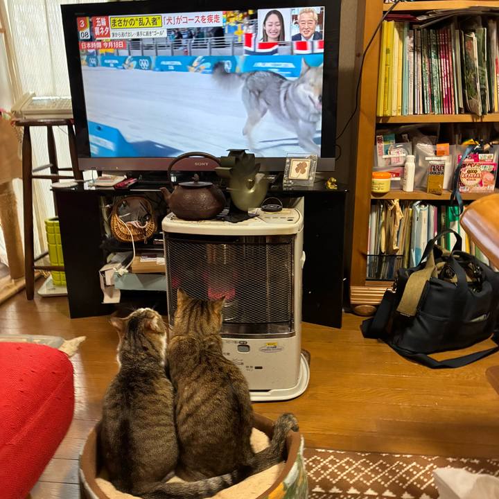 2dea0698 fede 4492 a5e7 490d6edca652 1771682164559