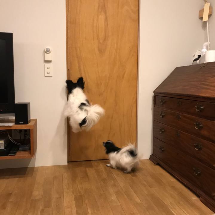 2dea1eaa 8b9f 40d6 b66d 51fafedf90e7 1521984222168