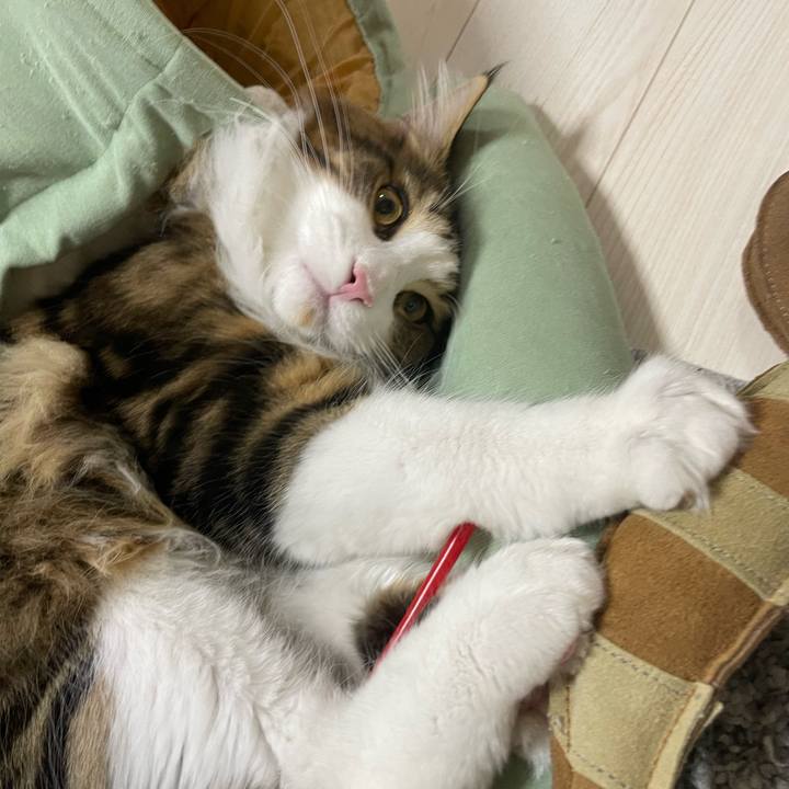 2dea37f0 066a 4114 93da 146ccfe51950 1644440227823