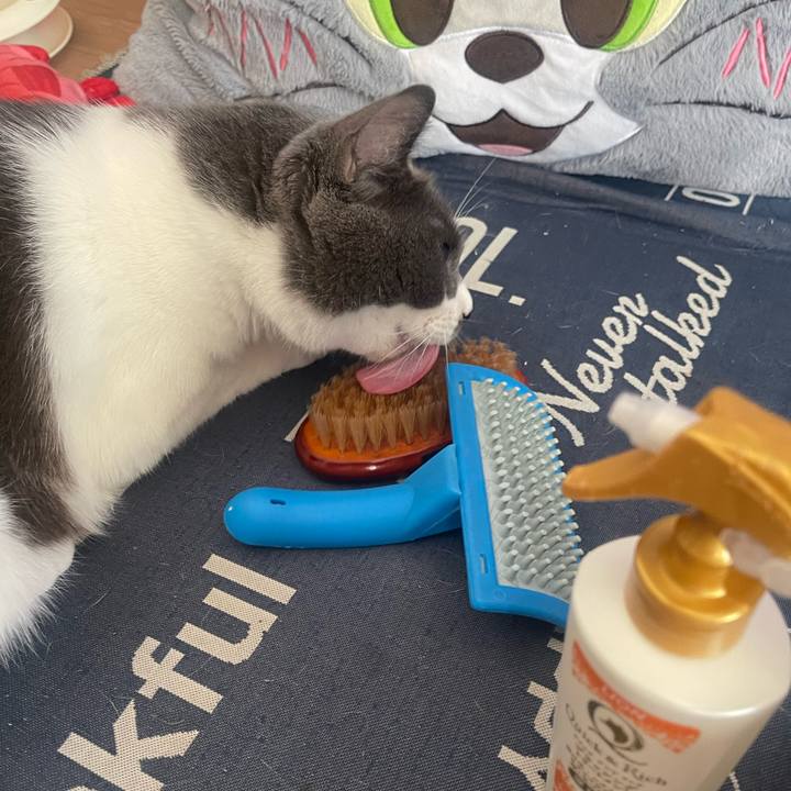 2dea3e35 dfeb 44c7 82f4 0092d5d060be 1728778791339