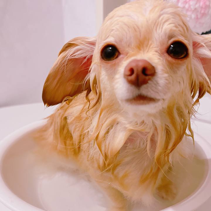 2dea3f15 9e4a 4815 b5a5 15f957bb29f4 1650455660920