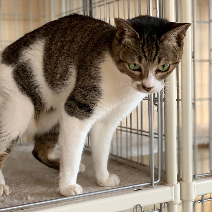 2dea5ef3 41b4 4516 bc84 25f5193a8c08 1573262131278