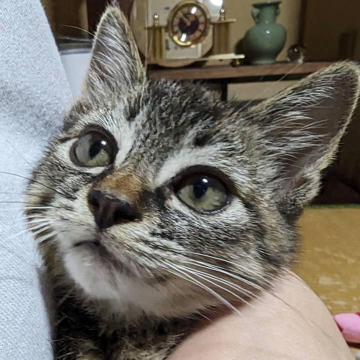 2dea607e b912 40d4 bf3f c20f1d02b858 1698639429736