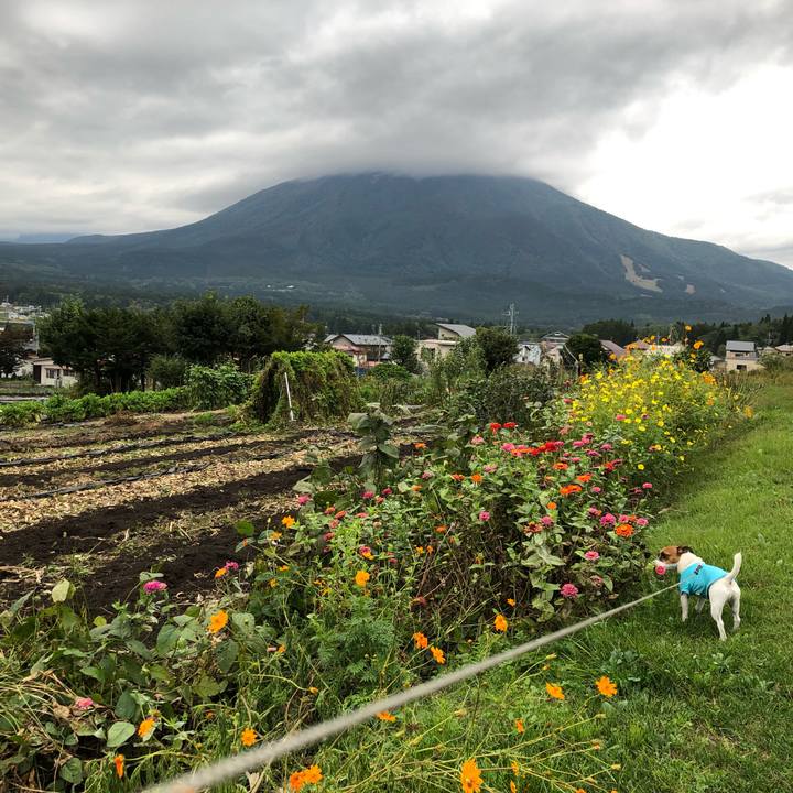 2dea61ab 9efe 4f74 a92f 3ac8d5a0d240 1570447276451