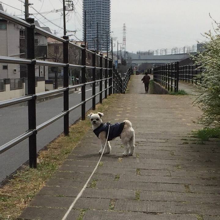 2dea6a37 269f 4f8b b000 0f801ccbcc03 1552191989949