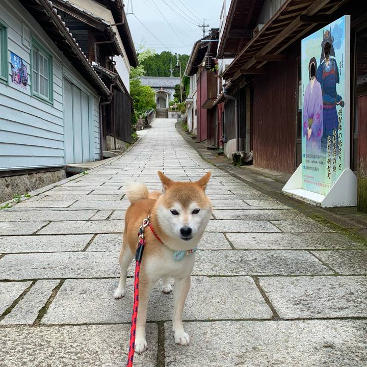 2dea8a32 a840 4f27 b1d0 5aefebea7ce7 1652689822601