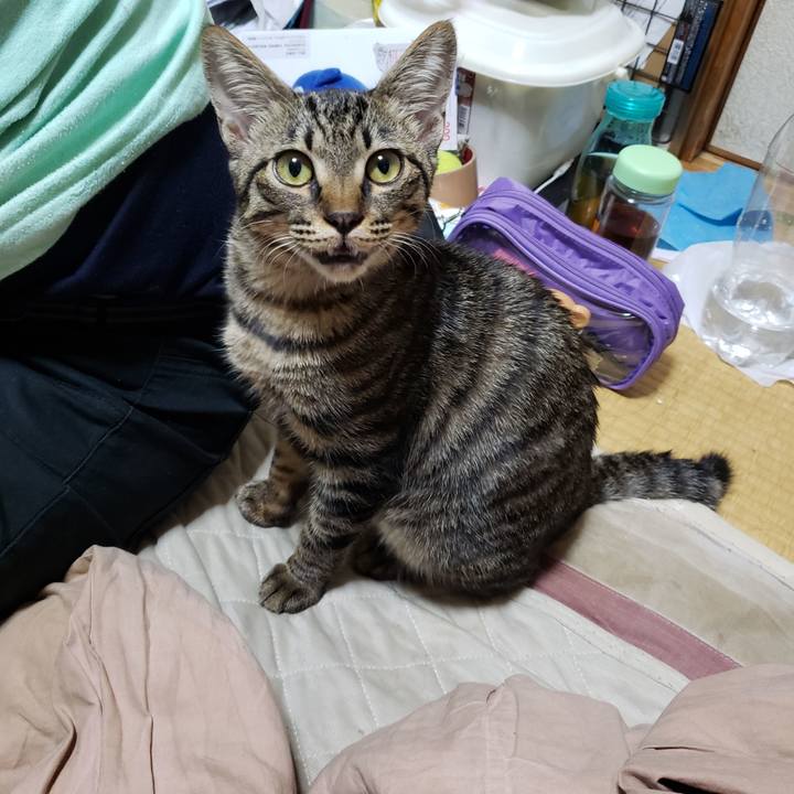 2dea94bc c002 44e9 959e 8a186ef663d1 1541947850443