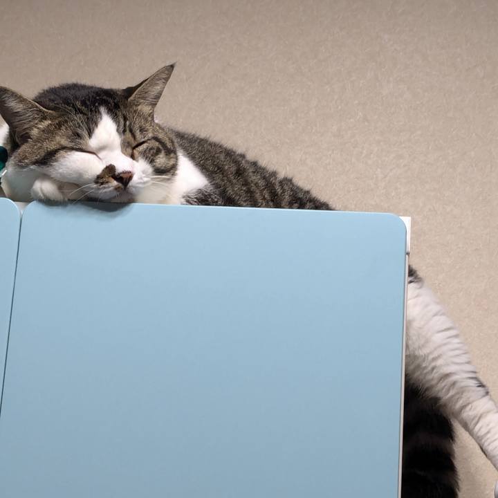 2dea9e74 ef96 4fe7 9fc4 f066d1e1f053 1724542127589