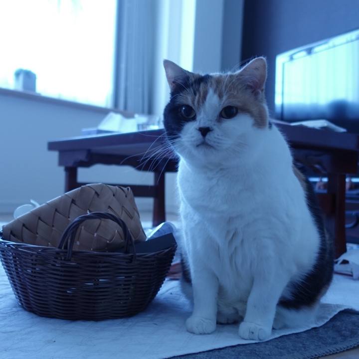 2deaa843 ed10 43f9 b1d6 5b3801b9e9f3 1511343816712