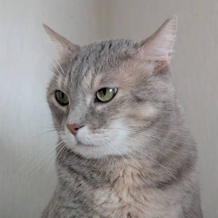 2deabbc0 a2f3 44a4 85a4 875de3148974 1761205003174