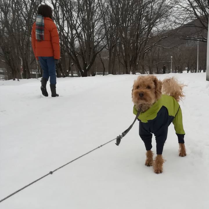 2deac050 8af3 412f bb90 29c97520a2ae 1545527692929