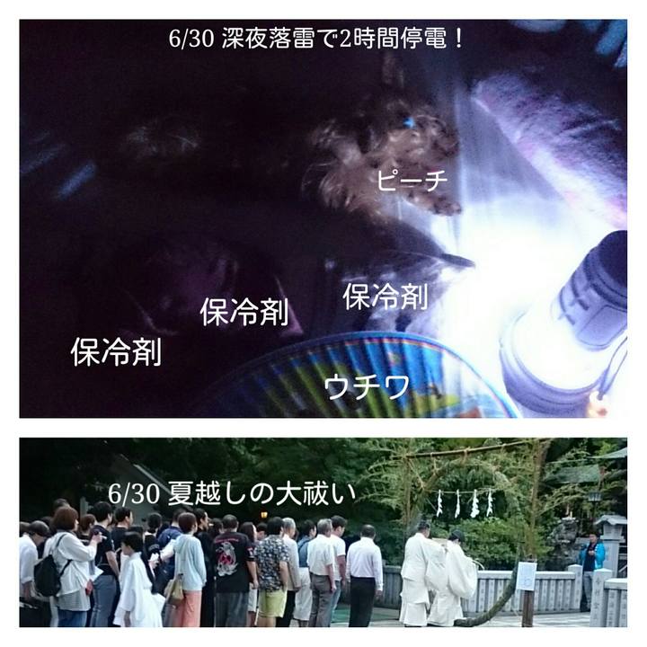 2deac37d 00ae 4031 b4f0 392035431790 1530542755830