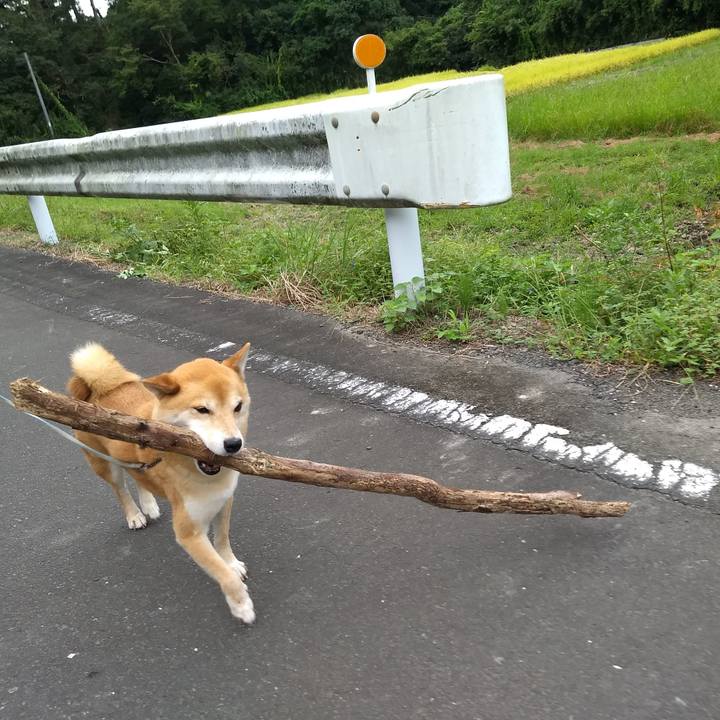 2deaf84e e331 4d4a 8a6b e5111762b19b 1568886475329