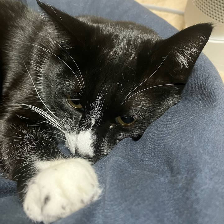 2deaf872 3264 4918 80f7 5c85e879a89e 1701401796446