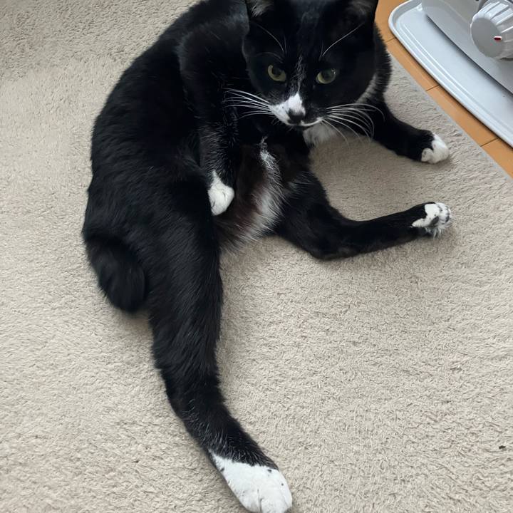 2deb1955 7e8a 4618 a8a5 41cbf43ec135 1745308173248