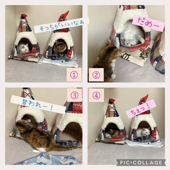 2deb2089 2928 4ba0 ac1a b03342f21d1e 1665096402104