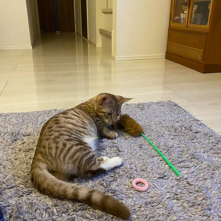 2deb3b70 f8d2 48bd 8d76 88c0b00eb291 1599000788221