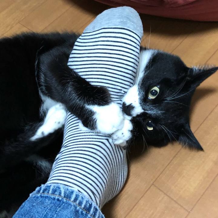 2deb5902 aa16 4f5e b4d1 12d27f92121a 1640057997181