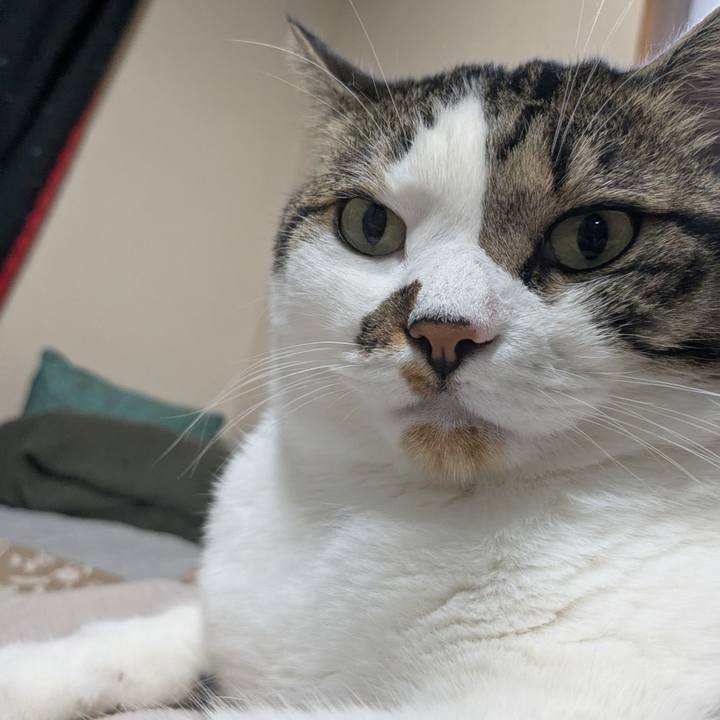 2debb052 e754 4799 8da9 d449da75b569 1752548780583