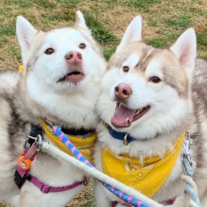 2debd9b8 44b4 42be a29c 6a9560773f25 1581845421736