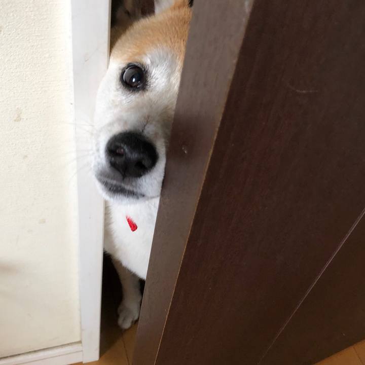 2debe05e 9a72 4371 a70e 26a0a30fece1 1561886882673