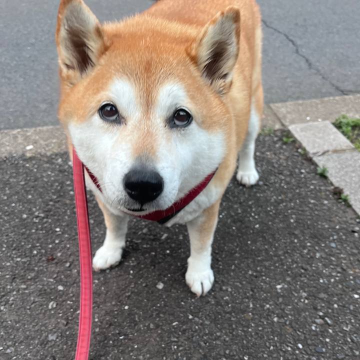 2dec1680 bd31 4913 9d0d 09222b3bfc2c 1710665656394