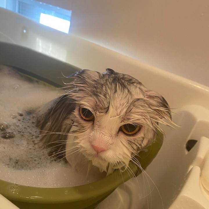 2decae39 f099 4820 8805 b50f8ac2ad37 1672308843963