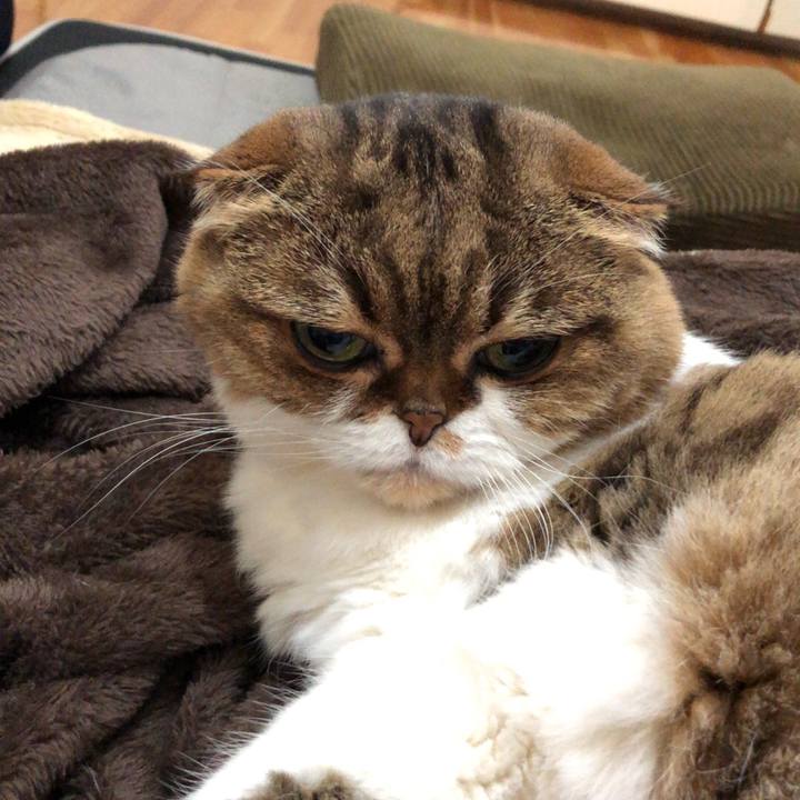 2deccb65 ae8a 4e12 b141 275e2433b03e 1543897895697