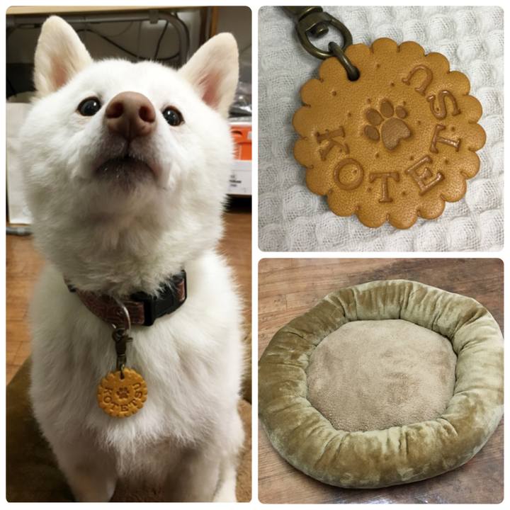 2deceee1 fb8b 4118 a1c2 f46dd2279e05 1514203585645