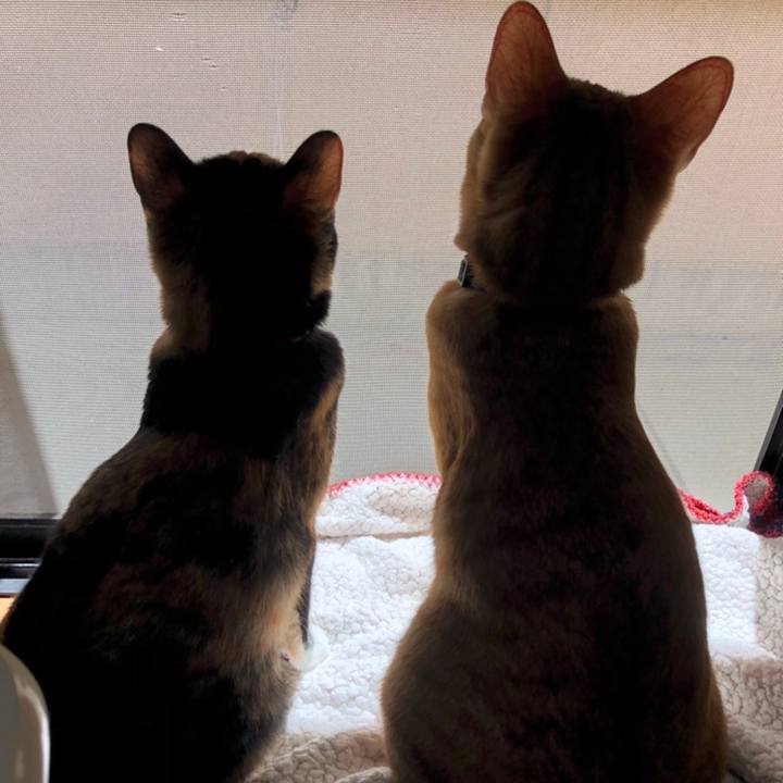 2ded0d46 8429 42de 9c9d 6a3e0df22426 1558502682803