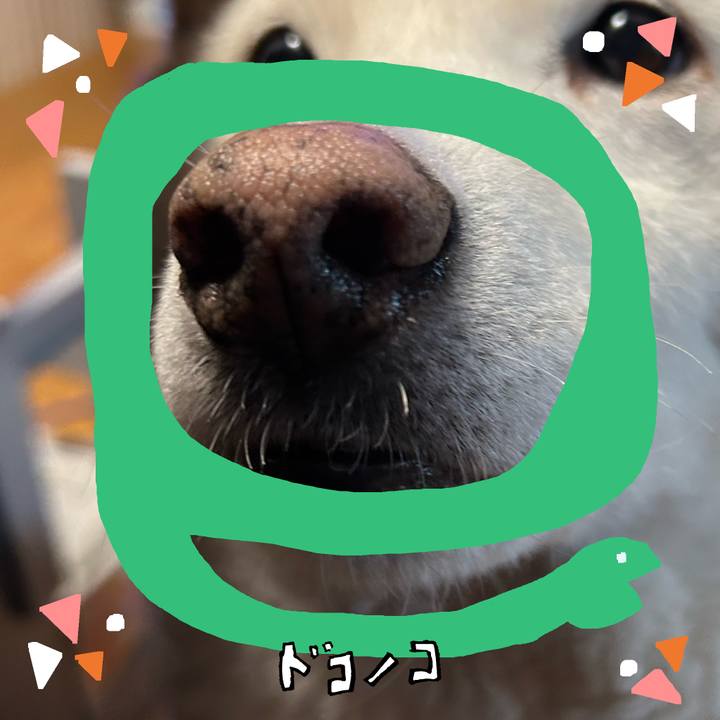 2ded3d4c 555f 4f7e 870b ddef519ff734 1741424972189