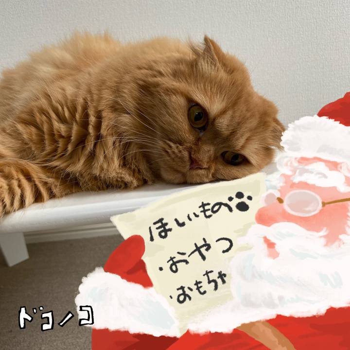 2ded56a1 40db 4e0b 9208 9bbeeff2c3bd 1729659724271