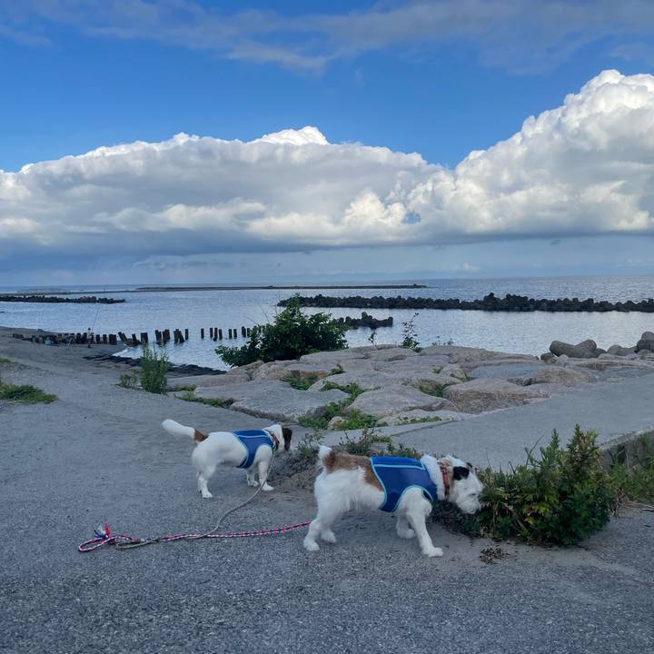 2ded64a2 338a 4199 985c 4d1b5bc74187 1723246470443