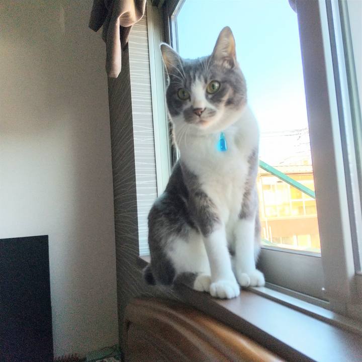 2ded770d 6690 4599 b502 a15e5360ab94 1610148798715