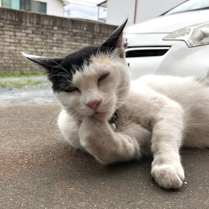 2ded77d6 b677 4004 a841 41f021a2a172 1625744801470