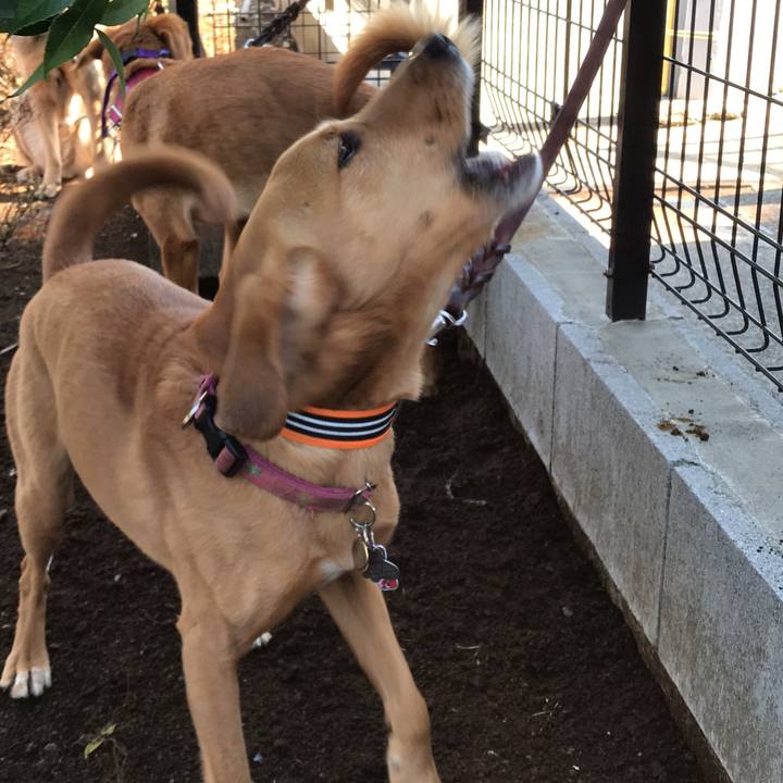 2ded9449 8d22 4a92 8c35 1ffb2d82be40 1520045182067