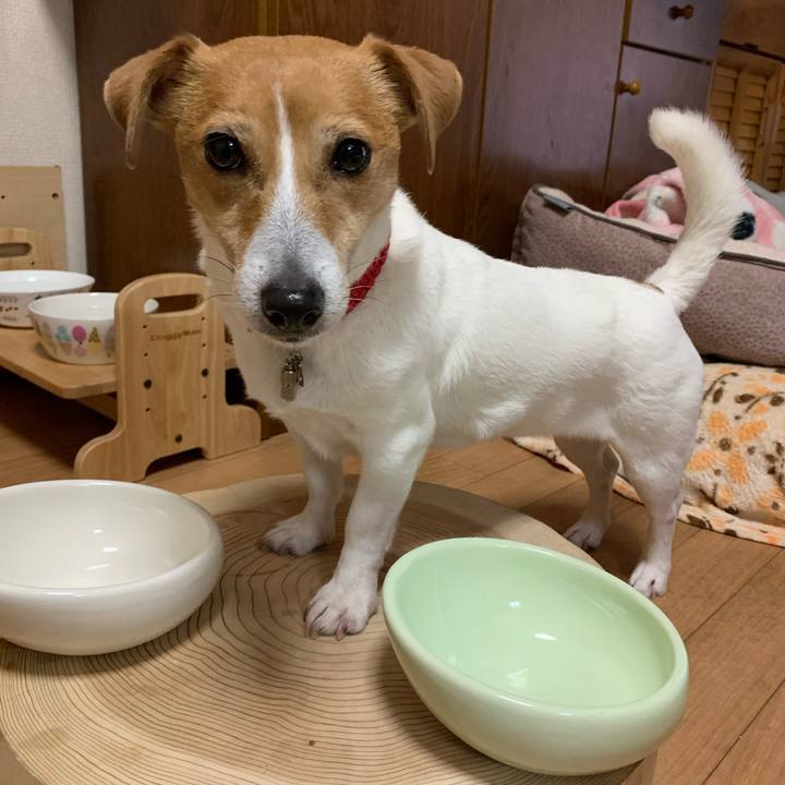 2deda330 23cd 421d acd7 8373418135eb 1616491373161