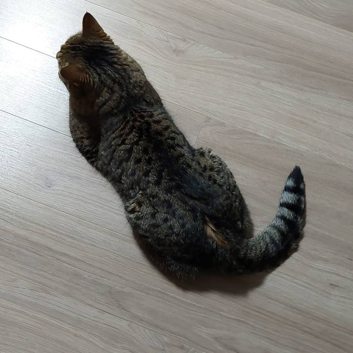 2dedafeb 451d 4c88 bd0e 4ae25e4df766 1630532595715