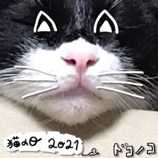 2dee01a9 7e74 4db2 9a50 76ea56c1b1ff 1613992179405