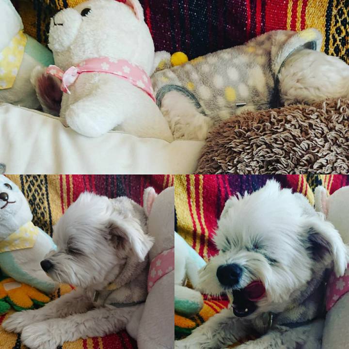 2dee0c98 6d0f 46de 981a 5cbbcab99376 1574218148091