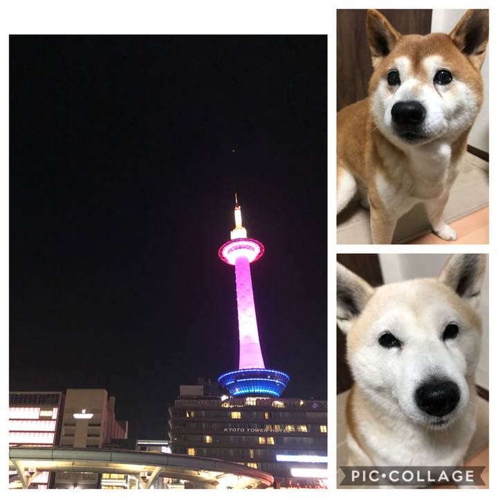 2dee32d9 620a 4e05 880f ca09a5aaeca9 1581682490892