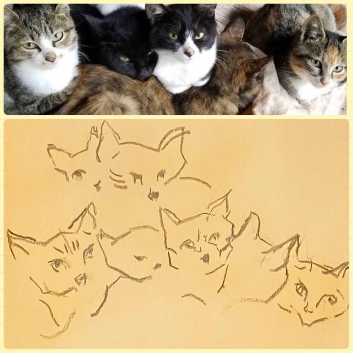 2dee50ab 8f88 4da6 83ff 09676d9e60ee 1758834001348