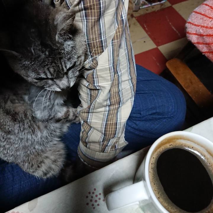 2dee633d 11b7 45b1 bf36 5e064019714d 1592940254869